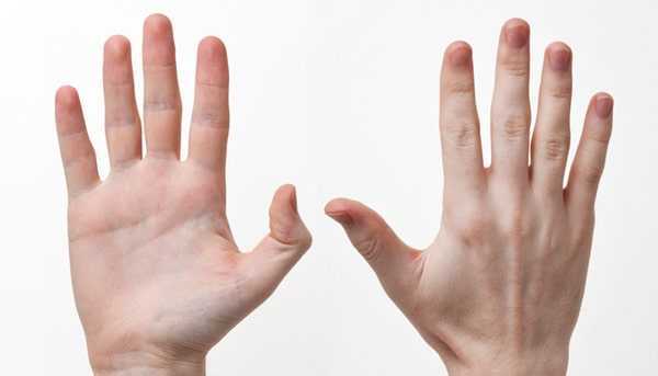 Bàn tay của người có căn số dự đoán tương lai